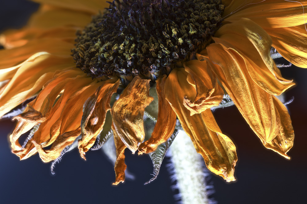 Platz 9 Christian Reichert